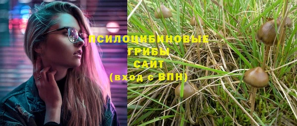 прущие крисы Баксан
