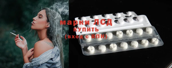 ГАЛЛЮЦИНОГЕННЫЕ ГРИБЫ Балахна