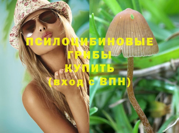 прущие крисы Баксан