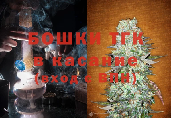 ГАЛЛЮЦИНОГЕННЫЕ ГРИБЫ Балахна