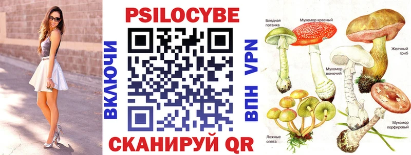 это состав Хадыженск Псилоцибиновые грибы прущие грибы